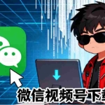 （19377期）Github热门工具，视频号下载神器又来了！一键注入下载按钮，轻松下载，使用便捷wx_channel