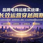 （19340期）品牌电商运维实战课：行业趋势深度拆解｜品牌落地核心逻辑｜长效运营穿越周期全体系教学