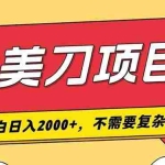 （19493期）撸美刀，单日收入2000+，小白可做