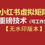 （19548期）76节小红书虚拟矩阵5.0-无水印版本：AI原创虚拟品+4带1自动化AI发笔记+测款怼款双模式（可工作室放大）