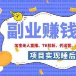 （19654期）2026年多个真实落地副业项目，手把手带你搭建被动收入管道（淘宝无人直播、海外TK拉新…