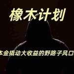 （19789期）橡木计划，小投入撬动高回报的风口野路子项目，一天投入2小时左右