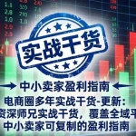 （19761期）电商圈多年实战干货-更新2026：多位资深师兄实战干货/覆盖全域平台，中小卖家可复制的盈利指南