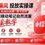 （19739期）小红书乘风投放-100分钟实操课｜开户返点·标准投搭建·莱卡定向，新店建模撬动笔记自然流量全套教学