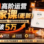 （19726期）淘宝高阶运营私家课（更新26年4月18）：选品、爆款、全店动销，三模块构建盈利闭环，月入破5万