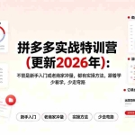 （19724期）拼多多实战特训营(更新2026年)：不管是新手入门或老商家冲量，都有实操方法，跟着学，少走弯路