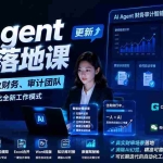 （19702期）学完即用—AI Agent实战落地课-更新：一人+AI=专业财务、审计团队，解锁财务审计自动化全新工作模式