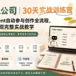 （19812期）AI一人公司｜30天实战训练营；Codex Agent自动参与创作全流程，内容流量变现完整实战教学