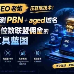 （19824期）13 年 SEO 老炮压箱底技术！打造防检测 PBN+aged 域名，复制 8 位数联盟佣金的排名工具蓝图【原创双语字幕】