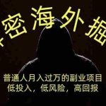 （19841期）解密海外掘U，普通人月入过万的副业项目，低投入、低风险高回报，没有之一