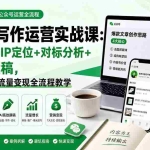 （19914期）公众号写作运营实战课：账号搭建+IP定位+对标分析+AI高效撰稿，从爆款文章到流量变现全流程教学