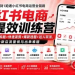 （19749期）小红书电商AI提效训练营—DeepSeek批量标题+快速混剪+爆款选题+达人玩法，解决新店流量低与出单难题
