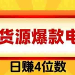 （19958期）爆款闲鱼电商，卖法简单粗暴，长期稳定可做，一单利润300