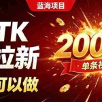 （19994期）海外TK拉新新玩法，剪映就能做，不用经验不用粉丝，单条视频收益上限20000+