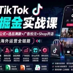 （19973期）2026TikTok海外掘金实战课——养号SOP+爆款公式+选品测款+广告投流+Shop开店，跑通海外运营全链路
