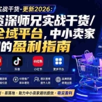 （20012期）电商圈多年实战干货-更新2026：多位资深师兄实战干货/覆盖全域平台，中小卖家可复制的盈利指南