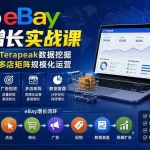 （20023期）2026-Vincent eBay全域增长实战课-无水印：从选品开发、Terapeak数据挖掘到广告投放与多店矩阵规模化运营