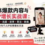 （20046期）自媒体爆款内容与个人IP增长实战课：定位+人设+选题+故事+算法+数据，掌握持续涨粉与个人IP长期增长方法