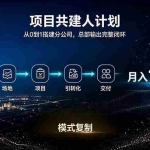 （20037期）做项目被割了100w。半年翻身。 合伙人月入10W的收入计划