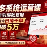 （20124期）拼多多系统运营课(更新8月)，从0起店到爆款复制，快速实现稳定日销千单，月利润破5万