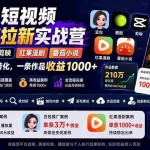 （20142期）AI+短视频多赛道拉新实战营：豆包+醒图+剪映+红果漫剧+番茄小说，从账号起步到转化，一条作品收益1000+