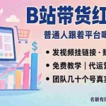 （20138期）B站短视频带货红利｜免费教学+代运营托管，两种玩法，单号七天收益1200-3600