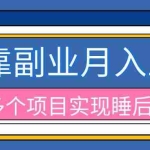 （20301期）2026年多个真实副业项目，带你搭被动收入管道（淘宝无人直播、海外TK拉新、最新最全代运营、公众号陪跑和去水印小…
