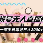 （20315期）视频号带货，一天2000+，一部手机即可开展的完美副业，无需投资