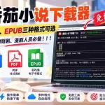 （20529期）番茄小说下载器，TXT、PDF、EPUB三种格式可选，做小说推文、AI短剧、漫剧人员必备！