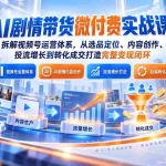 （20611期）AI剧情带货微付费实战课：拆解视频号运营体系，从选品定位、内容创作、投流增长到转化成交打造完整变现闭环