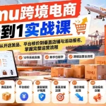（20646期）【无水印】Temu跨境电商从0到1实战课：从开店发品、平台核价到垂直店铺与活动报名，掌握完整运营流程