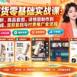 （20856期）AI带货零基础实战课：从选品分析、商品套图、详情图制作到爆款视频生成、混剪复刻与付费推广全流程