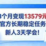 （20849期）3个月变现13579元，官方长期稳定任务，新人3天学会！