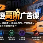 （20831期）Soju亚马逊高阶广告课：拆解A9坑产+准词表+竞品ASIN+广告架构+精准放量缩量与自然排名提升