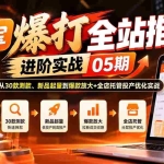 （20817期）淘宝爆打全站推广进阶实战05期：从30款测款、新品起量到爆款放大+全店托管投产优化实战
