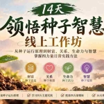 （20756期）14天领悟种子智慧线上工作坊｜从种子运行原理到财富、关系、生命力与智慧，掌握四力量日常实践方法