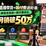 （20886期）视频号直播带货+微付费进阶课-更新1010：流量逻辑+微信豆投放+微付费优化，新手月销破50万