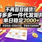 （20955期）不再盲目铺货！拼多多一件代发矩阵落地攻略，提供优质货源店铺运营全流程，零基础可直接复制